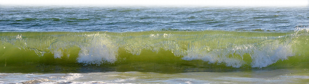 Wave